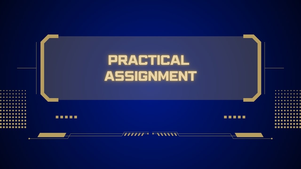 Practical Assignment